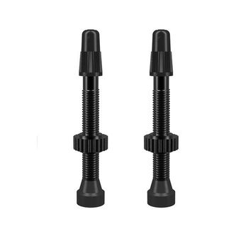 WTB TCS AL 46mm Presta Valve Two  Pack
