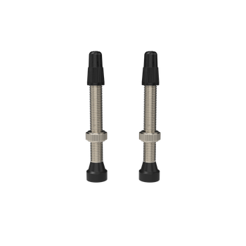 WTB TCS Standard Presta Valve