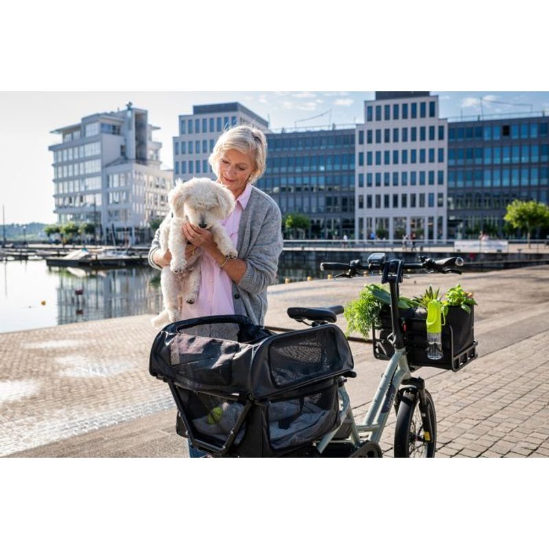 Tern HSD Dog Roof Mini