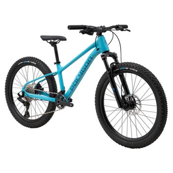 Polygon Xtrada 24