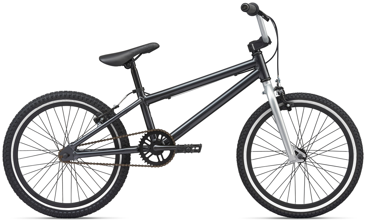 Giant GFR Freewheel Bike