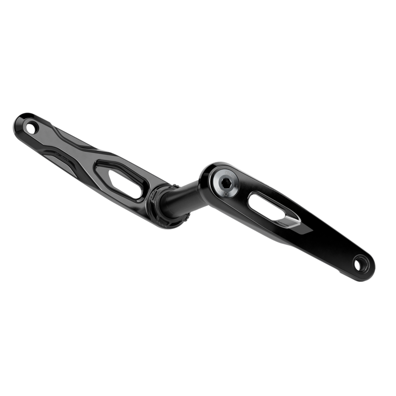SRAM Rival E1 DUB Crank Arm Assembly