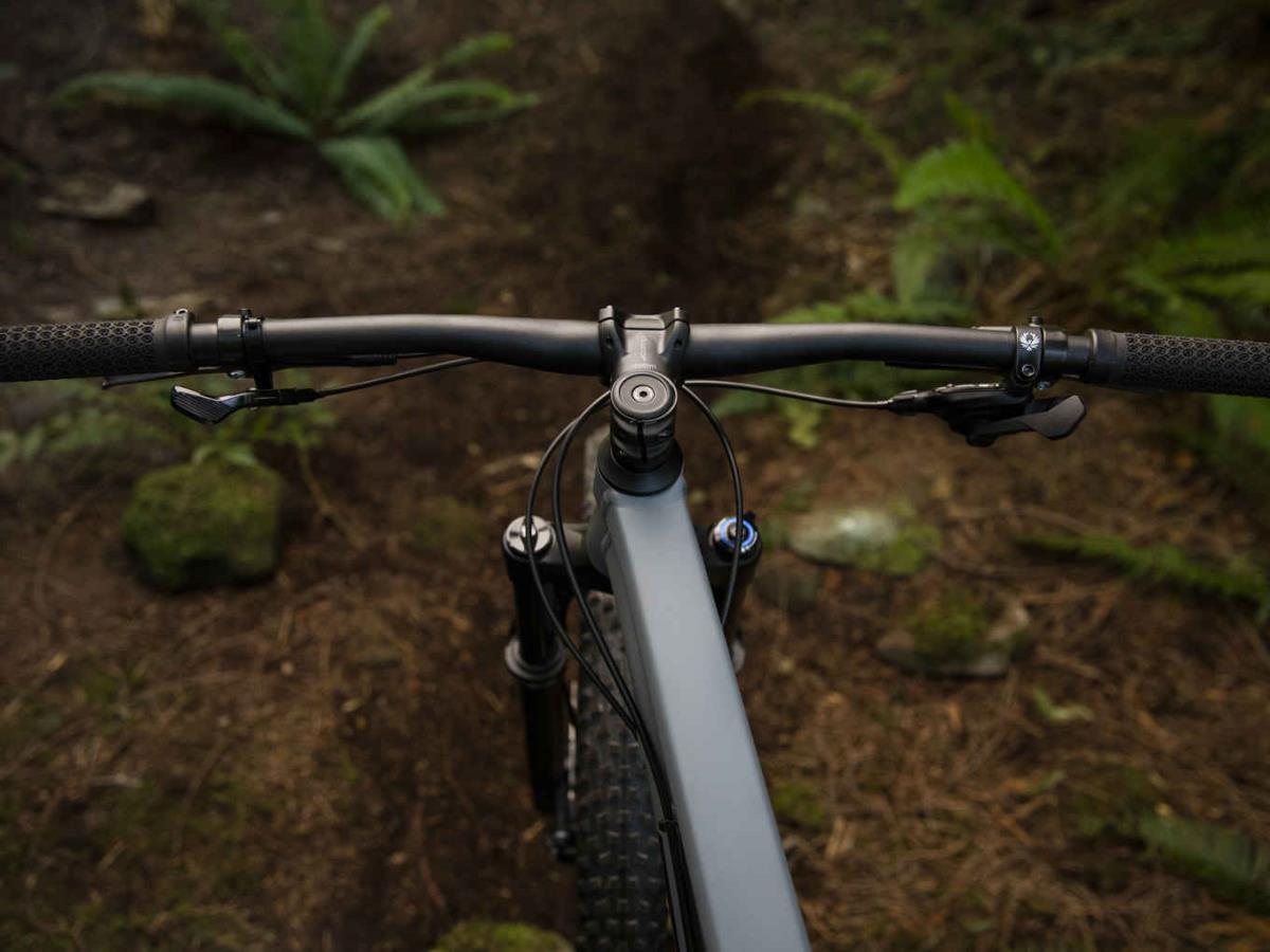 Trek Roscoe 8