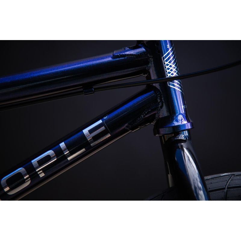 2021 Wethepeople CRS 20