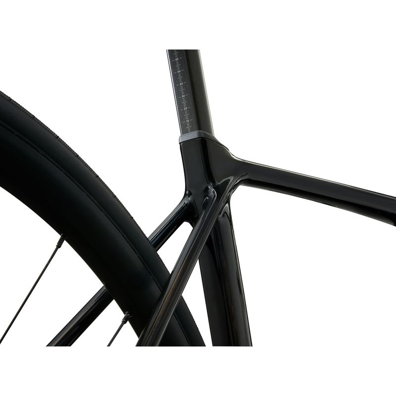 2025 Giant TCR Advanced PC Carbon