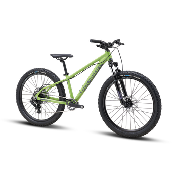 Polygon Premier 24