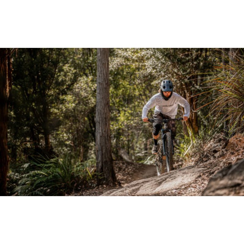 Polygon Collosus N8E EMTB Metallic Brown