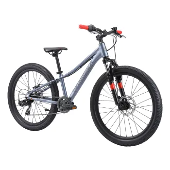 2025 Silverback Spyke 24