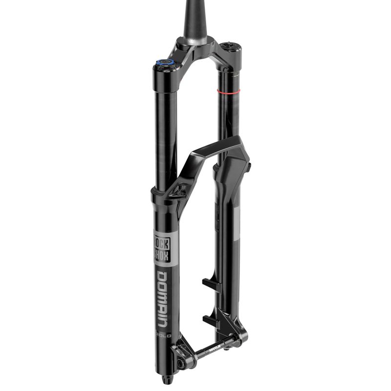 2025 Rockshox Domain Gold RC 170mm Fork