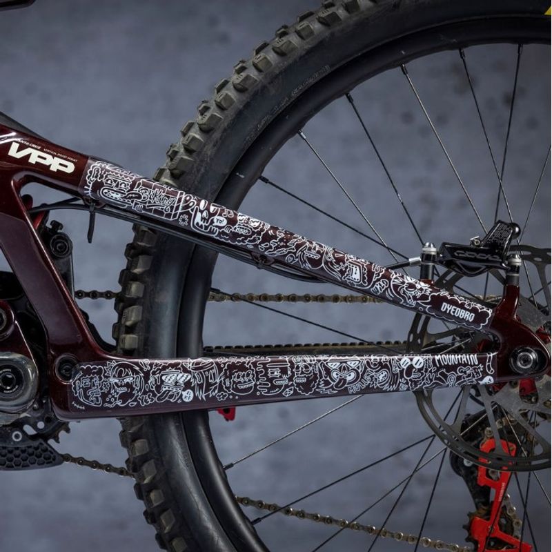 DYEDBRO Juay X DYEDBRO Frame Protection