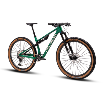 Polygon Syncline DR8 XC MTB - Green